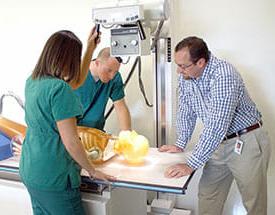 Professor and two students over radiography mannequin